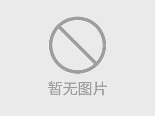 汽油机混凝土振动器的特点和优势
